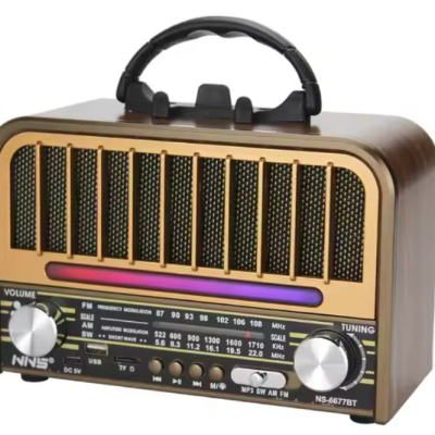 NS-6677 BT/FM/USB SPEAKER