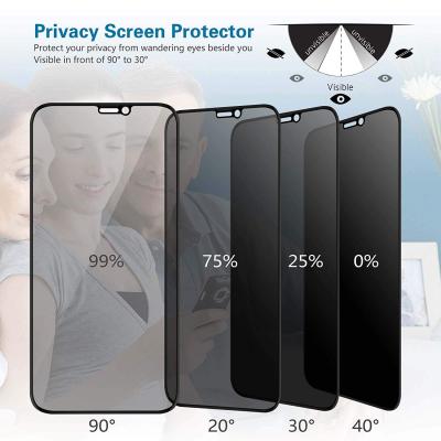 PRIVACY GLASS