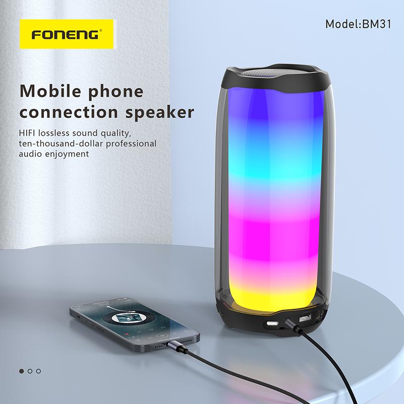 Câble Audio  BM31-Foneng